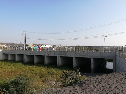 Puente La Peña