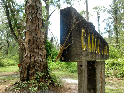 Park «Lake Rogers Park», reviews and photos, 9010 N Mobley Rd, Odessa, FL 33556, USA