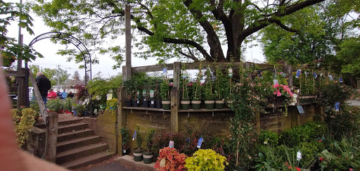 Pet Supply Store «Pickering Valley Feed & Farm Store», reviews and photos, 305 Gordon Dr, Exton, PA 19341, USA