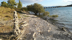 Playa Nudista Arroiabe'in fotoğrafı vahşi alan