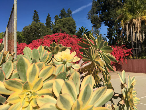 Botanical Garden «Virginia Robinson Gardens», reviews and photos, 1008 Elden Way, Beverly Hills, CA 90210, USA