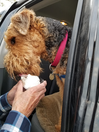 Ice Cream Shop «Blueberry Hill Dairy Bar», reviews and photos, 355 High St, Ellsworth, ME 04605, USA