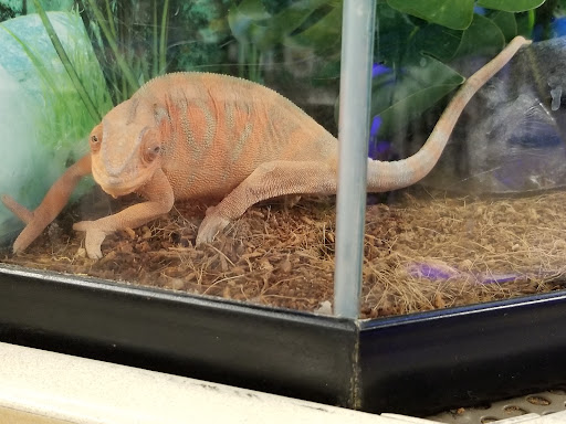 Pet Supply Store «Petco Animal Supplies», reviews and photos, 860 Broadway, New York, NY 10003, USA