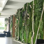 Photo n°1 de l'avis de Concetto.i fait le 07/07/2023 à 09:08 sur le  Ciachipey Di Ferdinando De Luca and Antonio S.N.C. à Palma Campania