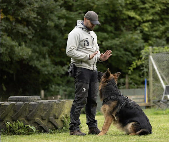 Lupo Hundecenter - Hundetræner