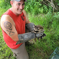 Patriot Wildlife - Photo 3 - Car repair in , Rochester