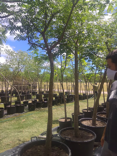 Opiniones de Vivero del este en Maldonado - Centro de jardinería