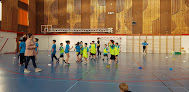Lyon 5 Handball Lyon