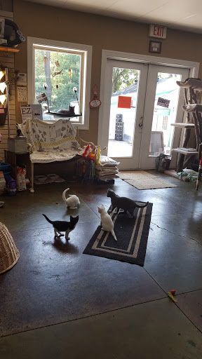 Pet Supply Store «Cat Shoppe & Dog Store», reviews and photos, 2824 Bransford Ave, Nashville, TN 37204, USA