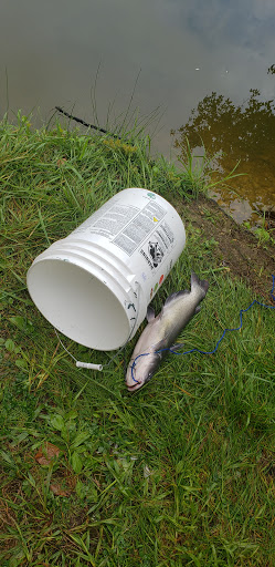 Campground «Hide Away Lakes», reviews and photos, 8045 Van Emmon Rd, Yorkville, IL 60560, USA