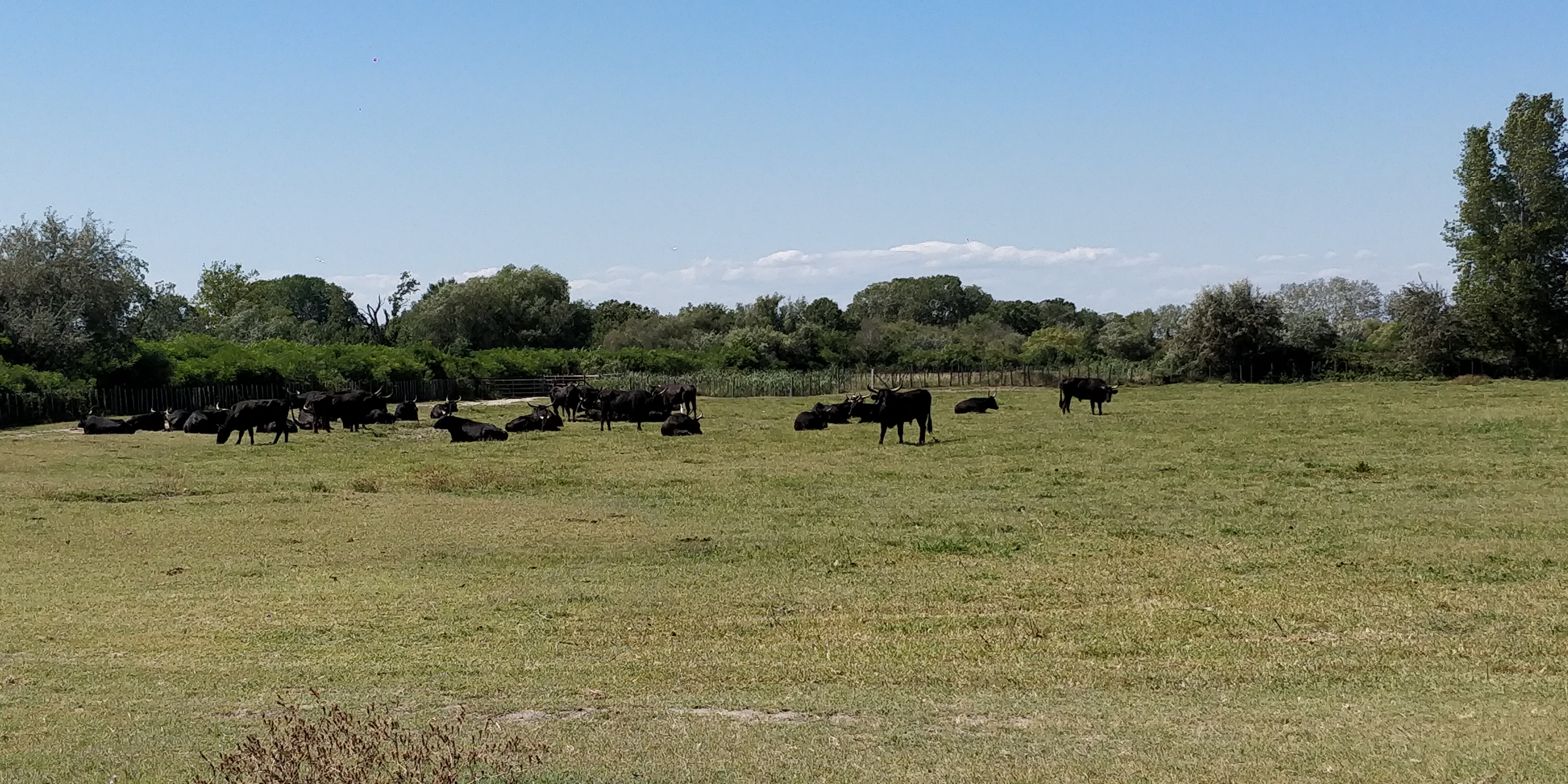 Photo n° 2 de l'avis de Fabrice.u fait le 08/08/2019 à 15:07