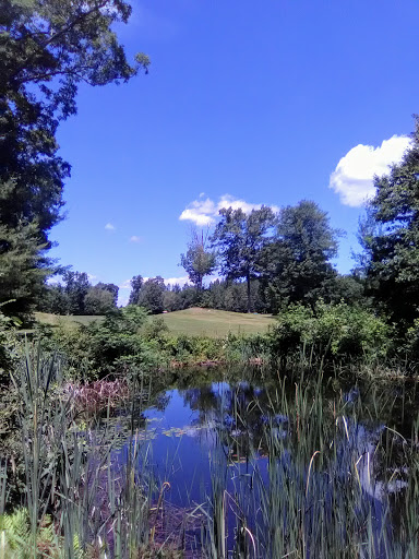Golf Course «Kingston Fairways Golf Club», reviews and photos, 65 Depot Rd, Kingston, NH 03848, USA