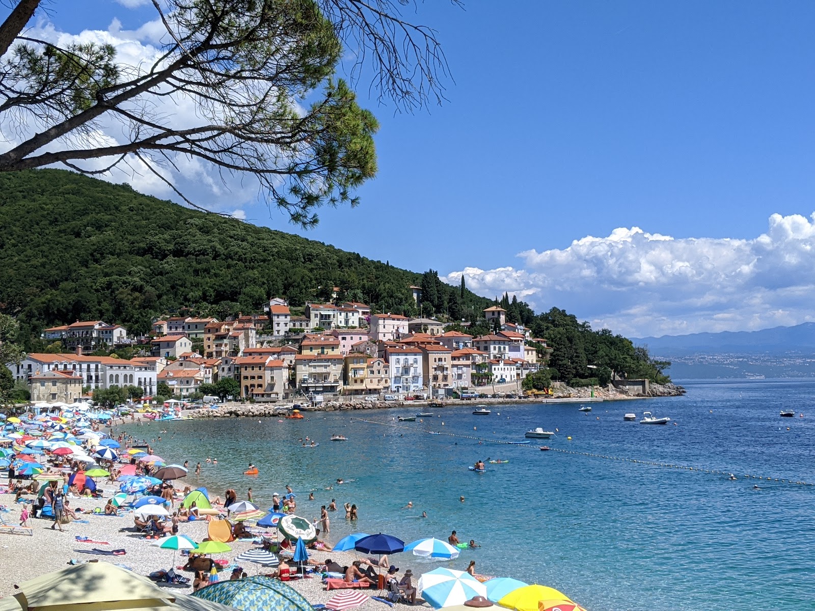 Moscenicka Plajı'in fotoğrafı uçurumlarla desteklenmiş