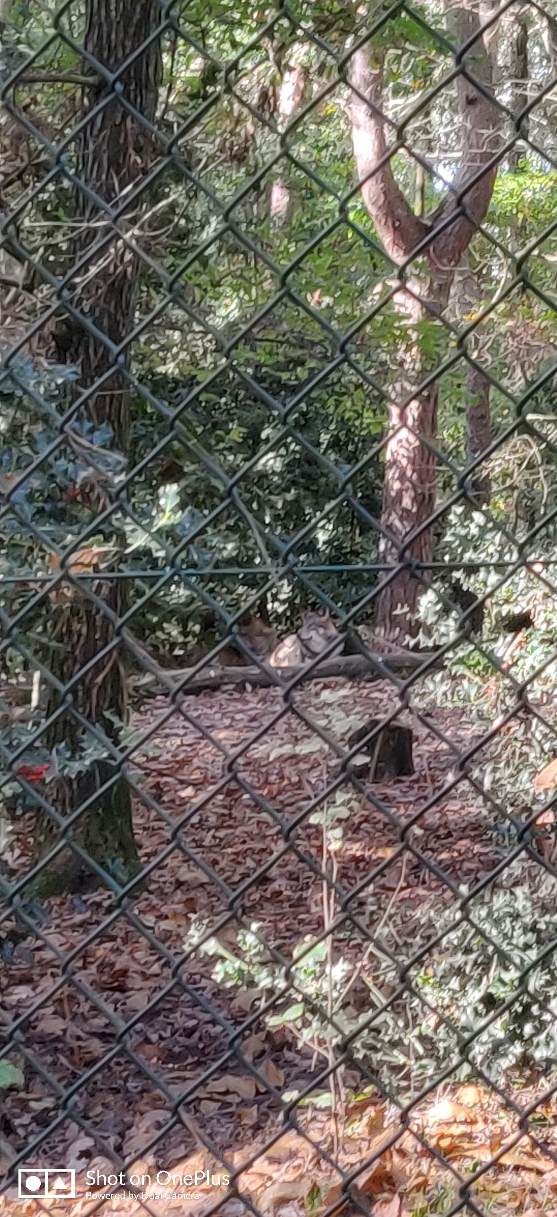 Photo n° 6 de l'avis de Jean-marc.e fait le 01/11/2022 à 19:36