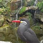 Photo n° 8 de l'avis de Cédric.u fait le 25/09/2021 à 16:47 pour Parc des Oiseaux à Villars-les-Dombes