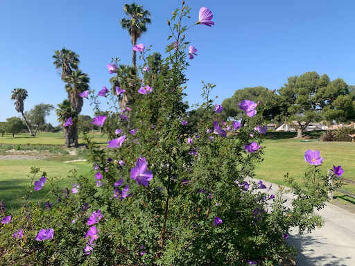 Golf Course «Navy Golf Course», reviews and photos, 5660 Orangewood Ave, Cypress, CA 90630, USA