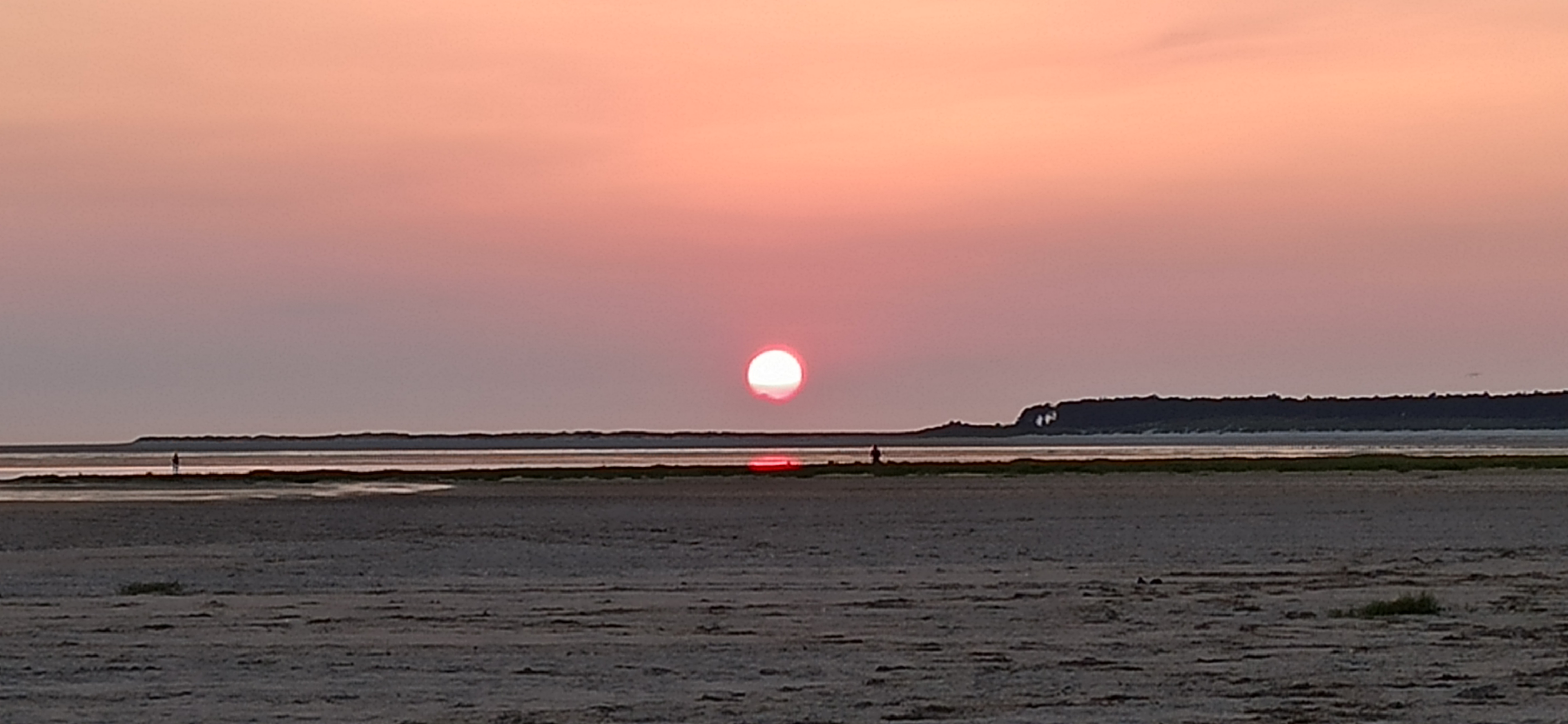 Photo n° 2 de l'avis de s. fait le 11/08/2021 à 18:49