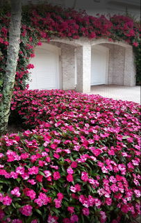 Blue Sky Solutions of SW FL, LLC - Photo 6 - Car repair in Fort Myers, FL, Cape Coral