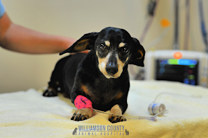 Williamson County Animal Hospital Urgent Care LLC