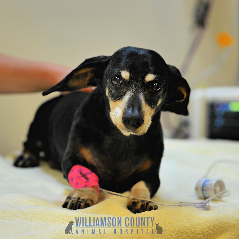 Williamson County Animal Hospital Urgent Care LLC