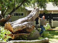 Smith Brothers Lawn & Tree - Photo 9 - Car repair in Fairway, KS, Kansas City