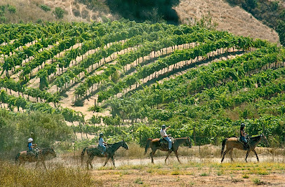 Cooper-Garrod Vineyards at Garrod Farms