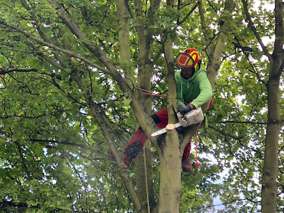 Vita Kokkopji / Arboristi