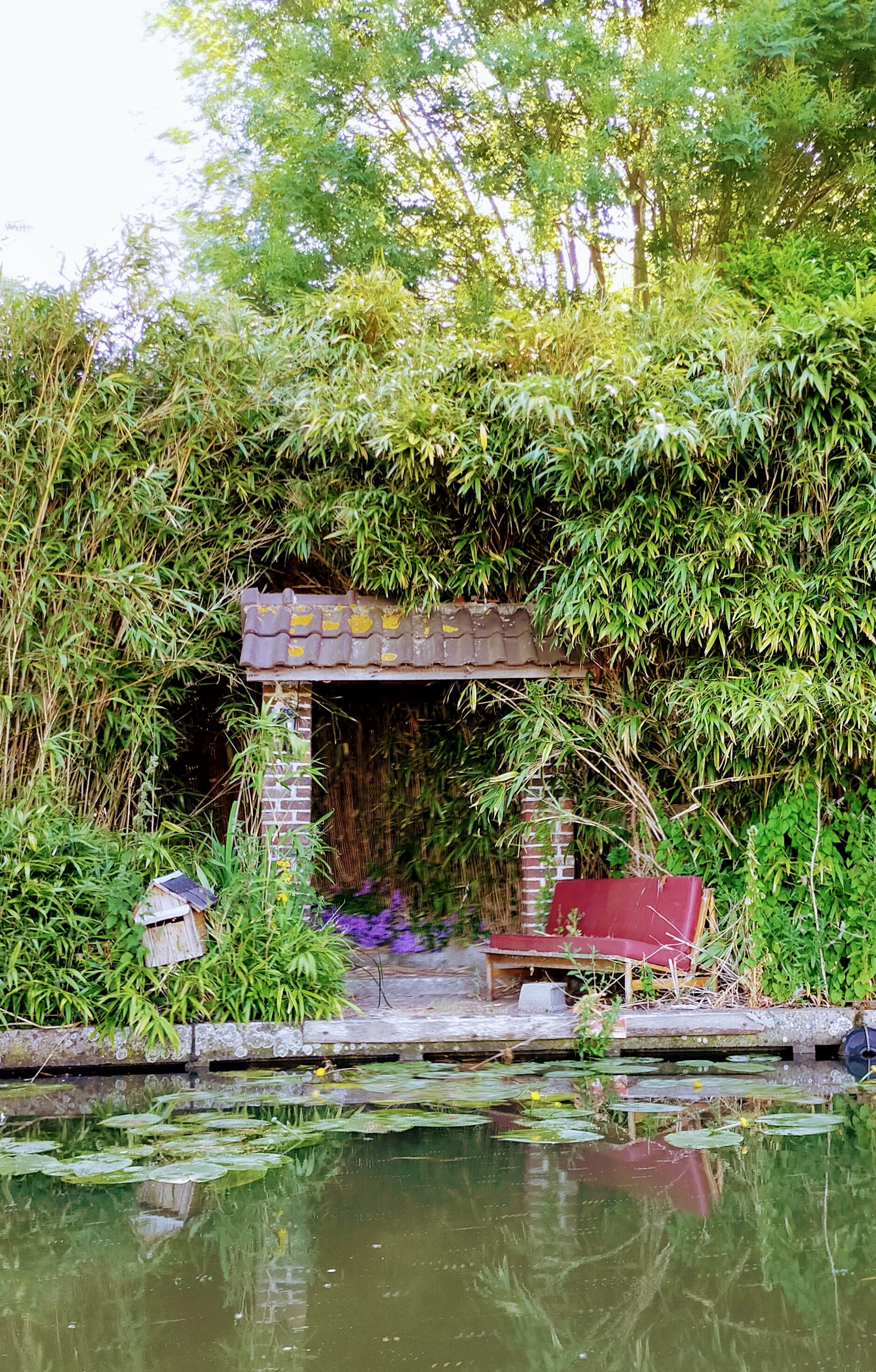 Photo n° 3 de l'avis de Virg.n fait le 03/06/2020 à 08:39