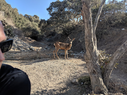 Gift Shop «Two Harbors General Store», reviews and photos, 1 Banning House Rd, Avalon, CA 90704, USA