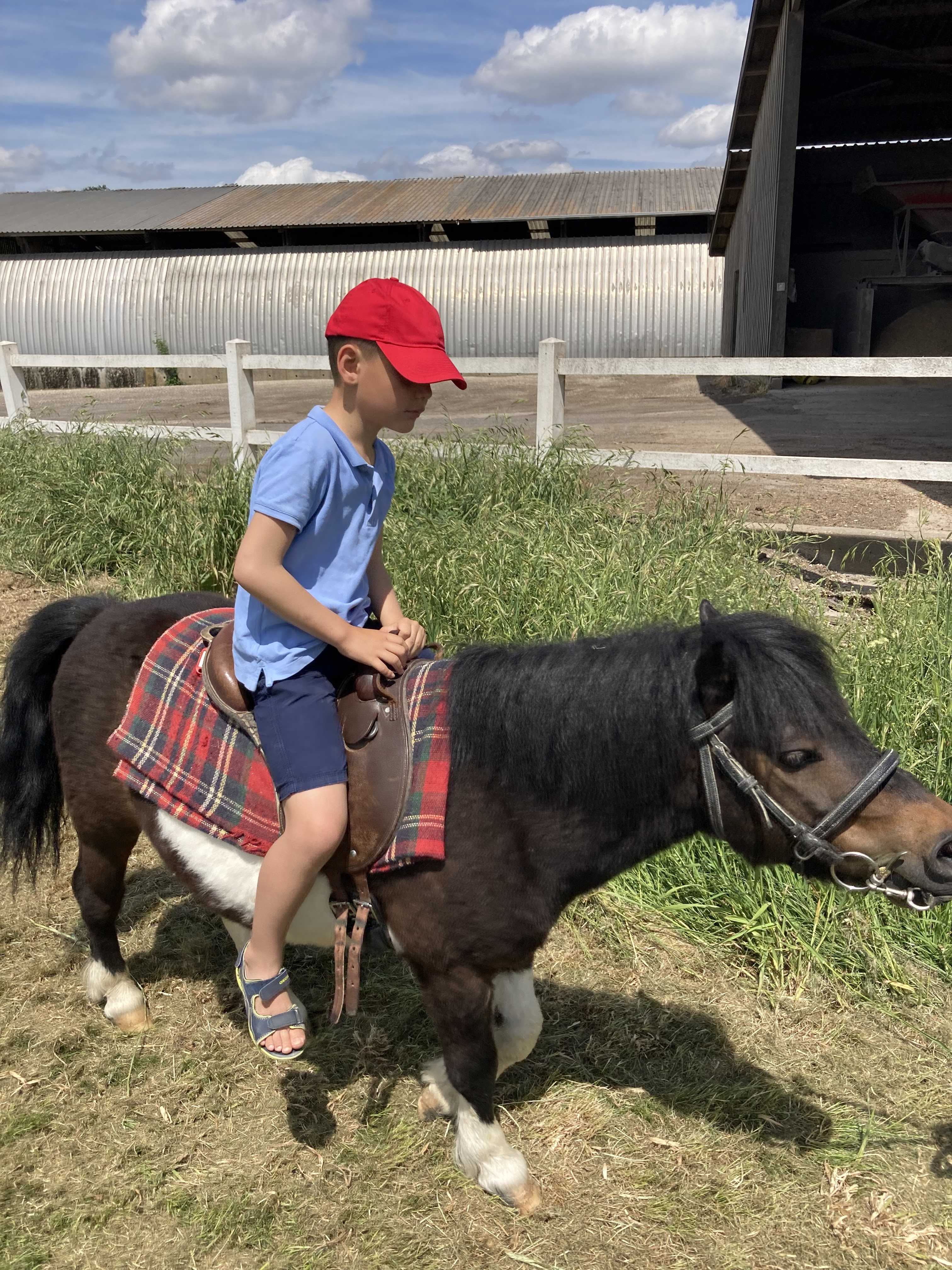 Photo n° 6 de l'avis de le.o fait le 29/05/2022 à 13:53