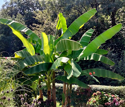 Kleingärtner Verein Nordstadt e.V. photo