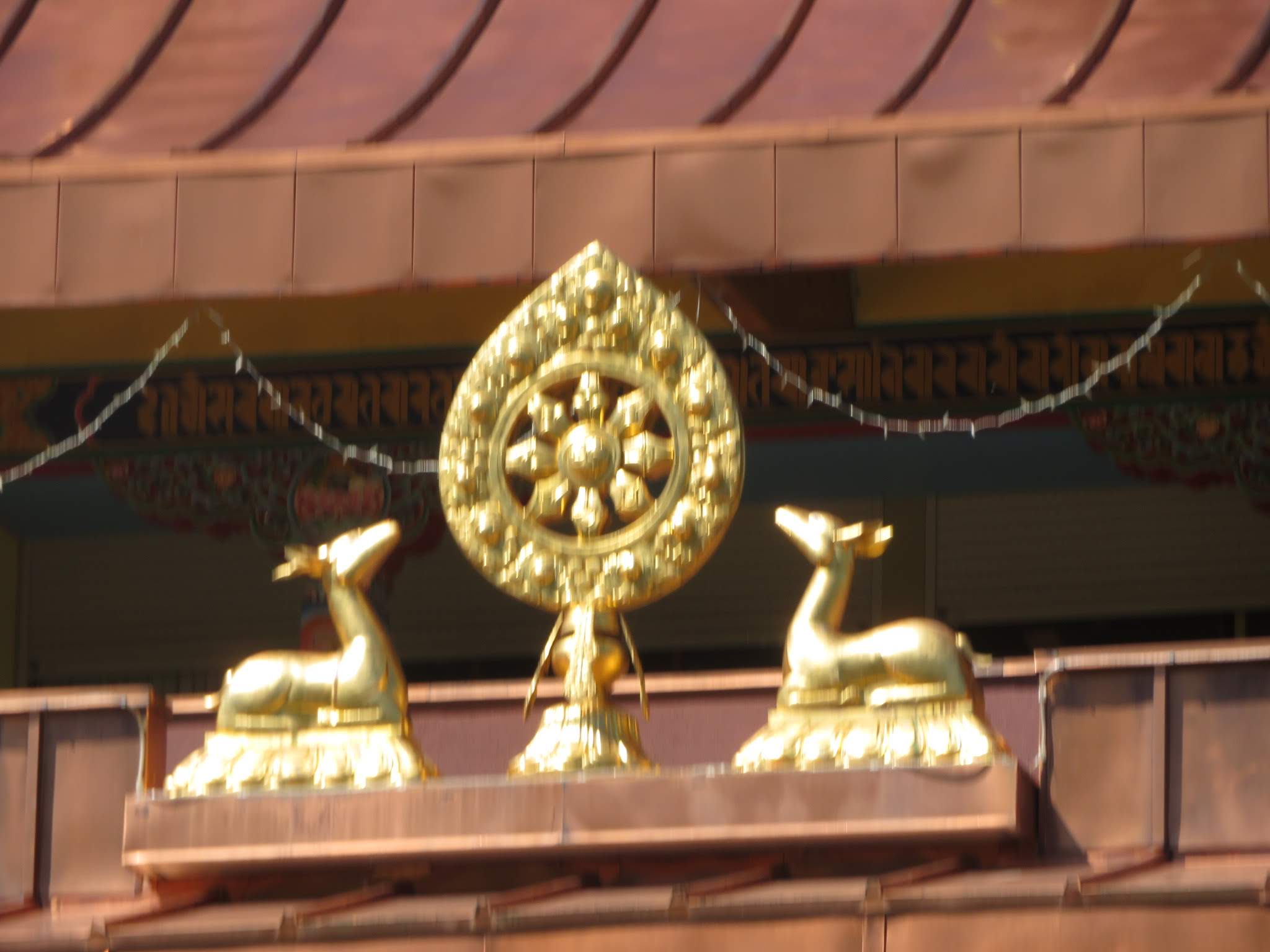 Photo n° 10 de l'avis de Marie.l fait le 20/09/2020 à 20:37