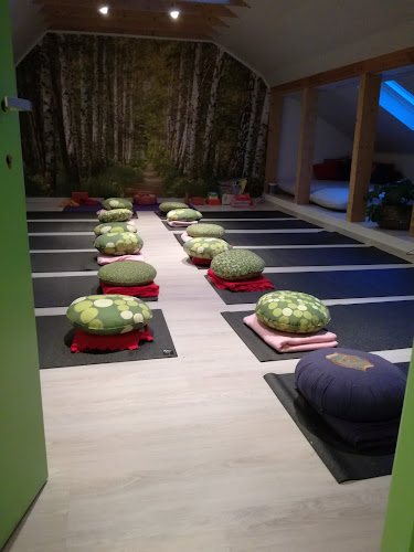 Beoordelingen van Summa coaching by Daphne Viguurs in Kortrijk - Yoga studio