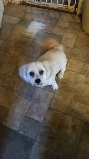 Pet Supply Store «Petco Animal Supplies», reviews and photos, 1111 US-46, Parsippany, NJ 07054, USA