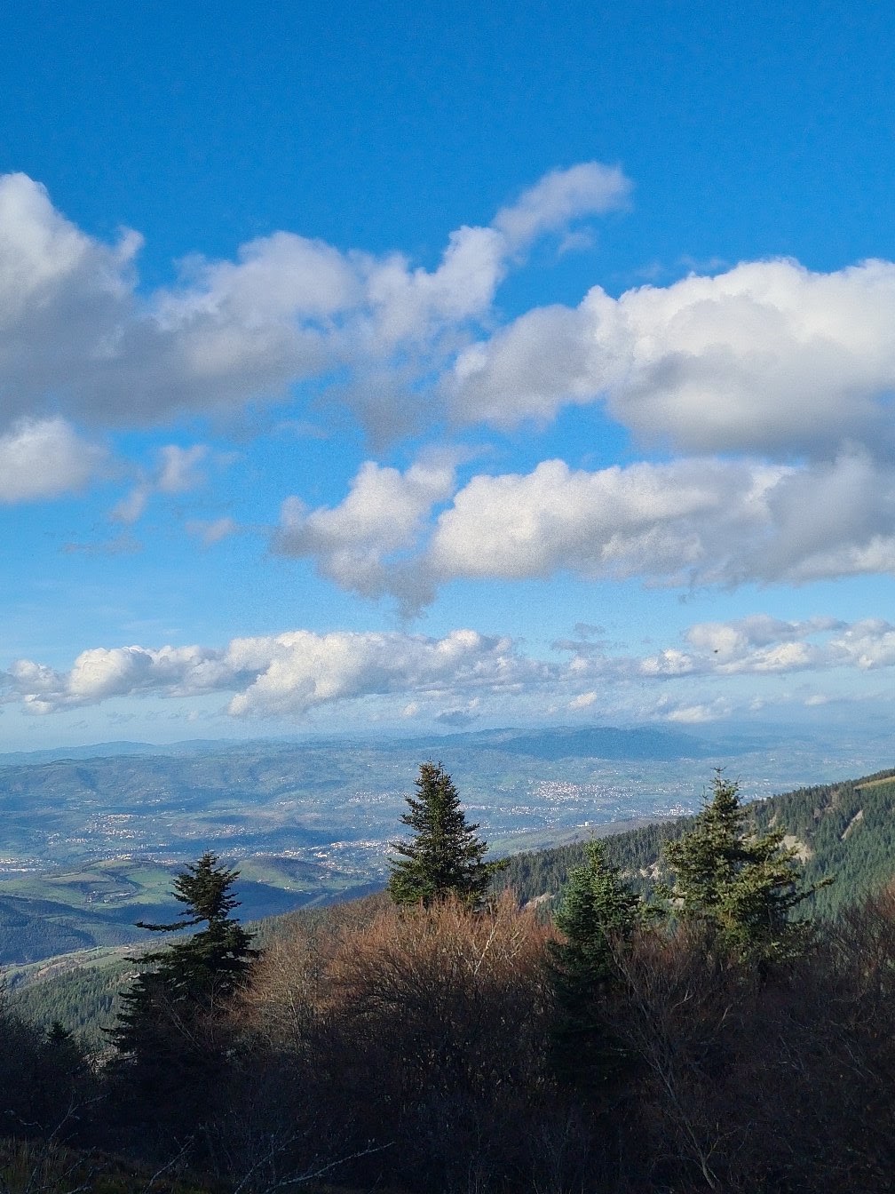 Photo n° 5 de l'avis de V-W.- fait le 19/11/2022 à 13:41