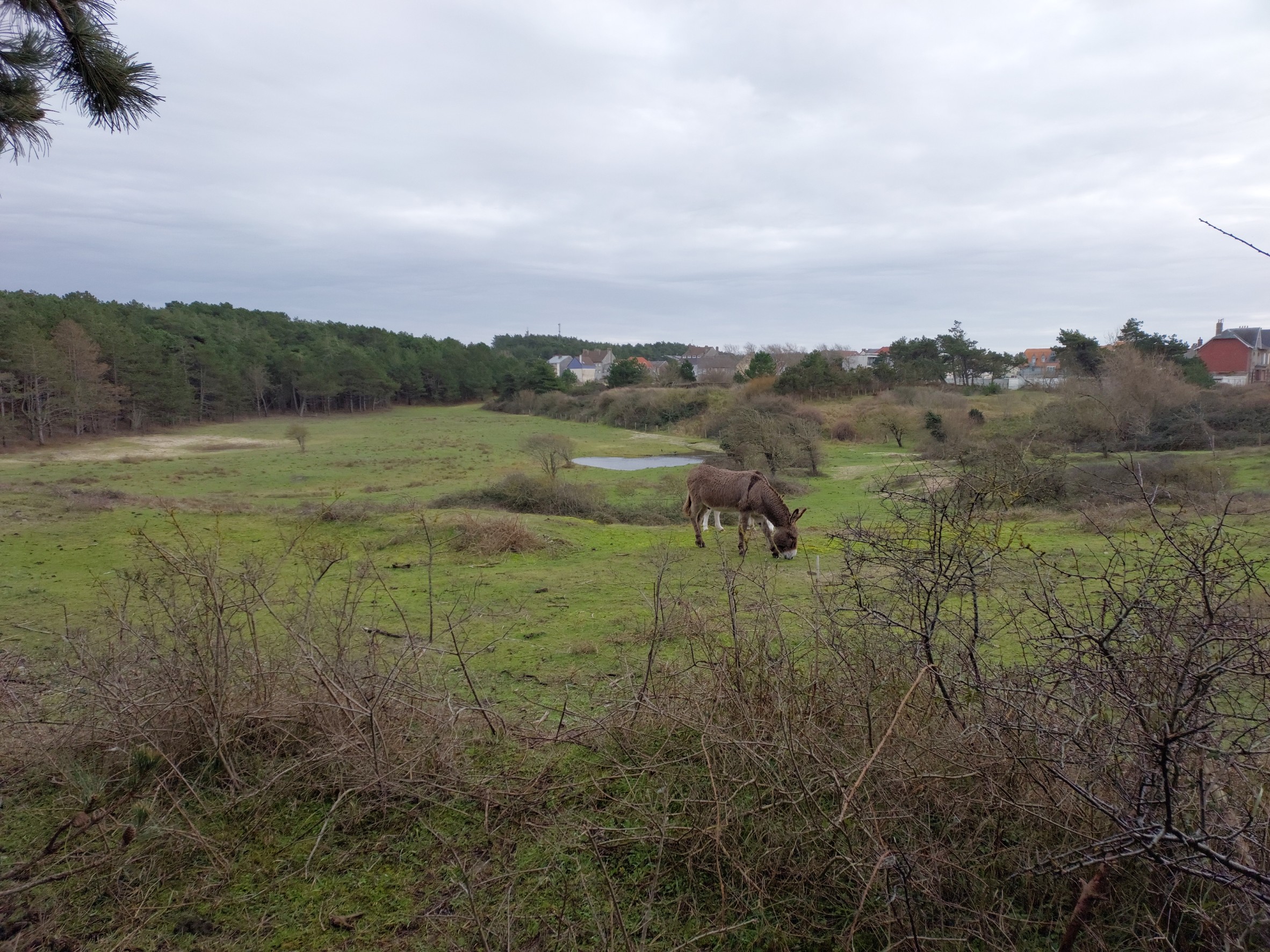 Photo n° 3 de l'avis de Liane.e fait le 31/12/2022 à 18:42
