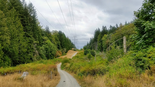 Nature Preserve «Redmond Watershed Preserve», reviews and photos, 21760 NE Novelty Hill Rd, Redmond, WA 98053, USA