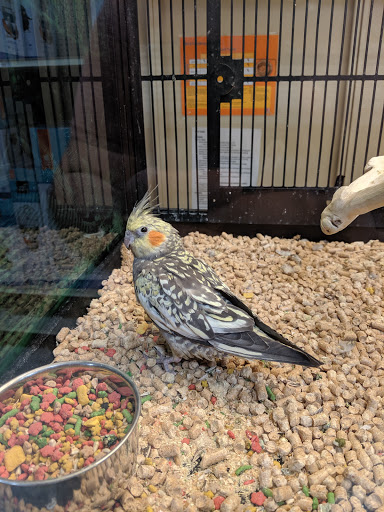 Pet Supply Store «PetSmart», reviews and photos, 4465 US-14, Crystal Lake, IL 60014, USA