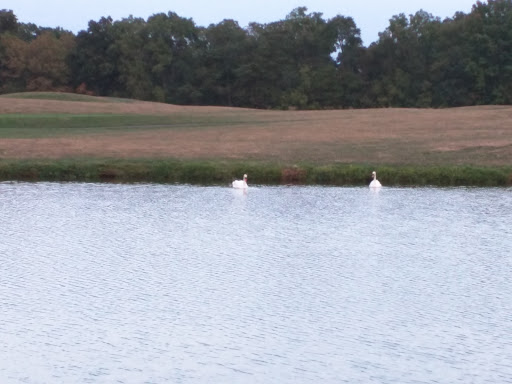 Golf Course «Turtle Creek Golf Course», reviews and photos, 303 W Ridge Pike, Limerick, PA 19468, USA