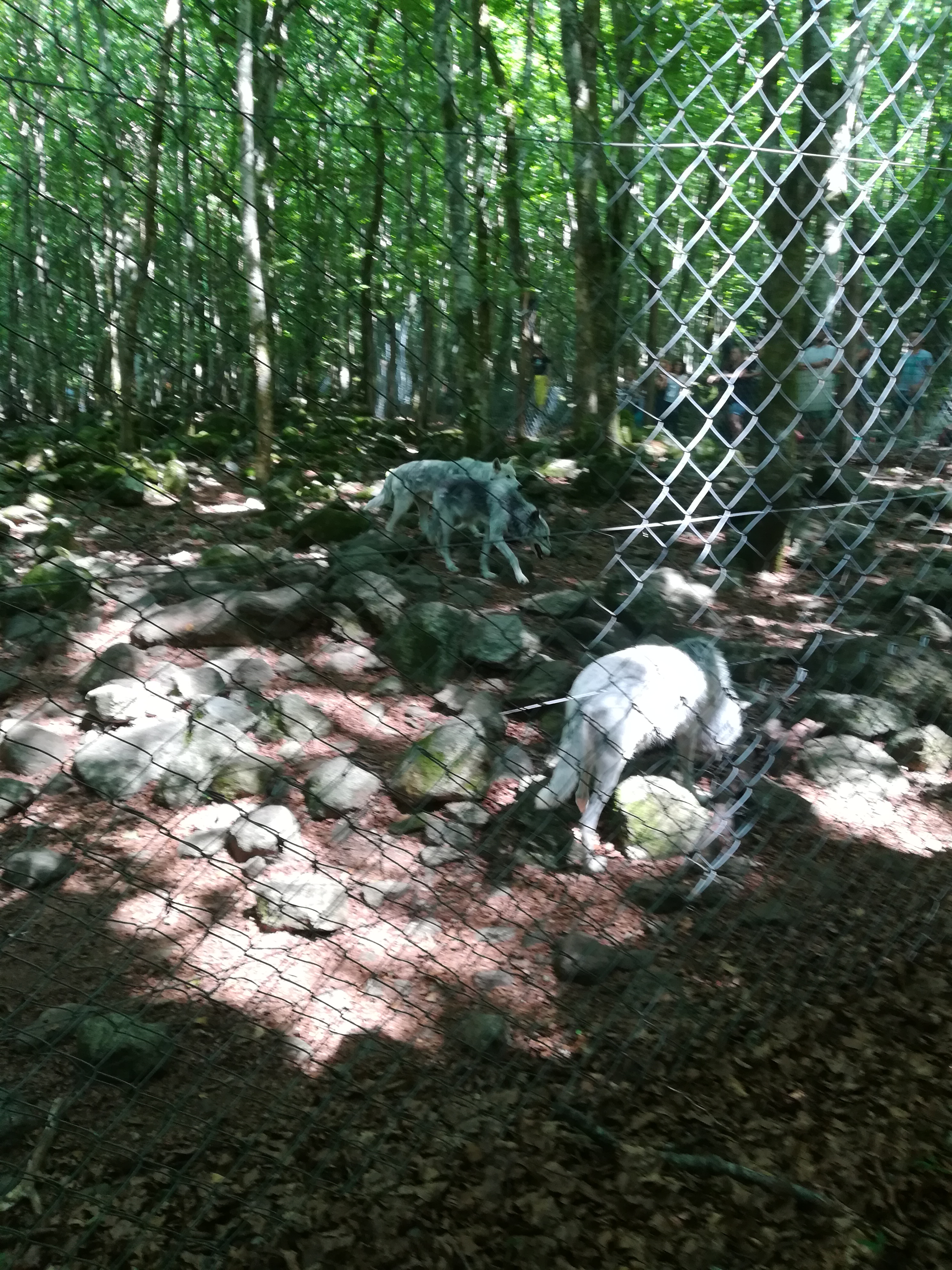 Photo n° 38 de l'avis de Audrey.� fait le 28/07/2017 à 17:11