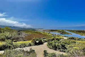 San Elijo Lagoon Nature Center image