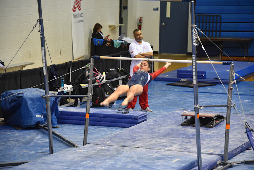 Gym «Coral Springs Gymnasium», reviews and photos, 2501 Coral Springs Dr, Coral Springs, FL 33065, USA