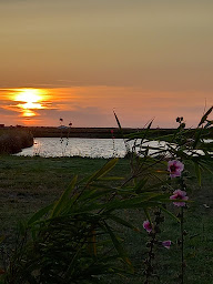 Photo n°29 de La Maline à L'Éguille ()