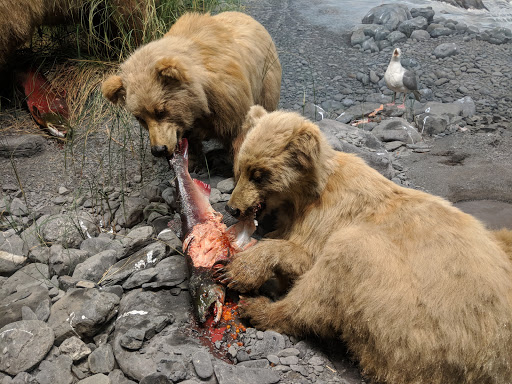 Performing Arts Theater «Carnegie Music Hall», reviews and photos, 4400 Forbes Ave, Pittsburgh, PA 15213, USA