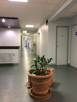 SPSTi 23/87 Prévention santé travail Creuse et Haute-Vienne à Limoges