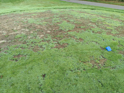 Golf Club «Coyote Preserve Golf Club», reviews and photos, 9218 Preserve Dr, Fenton, MI 48430, USA