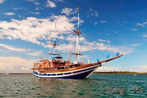 Sea Safari Cruise image