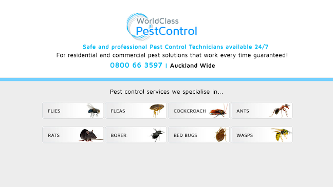 World Class Pest Control - Palmerston North