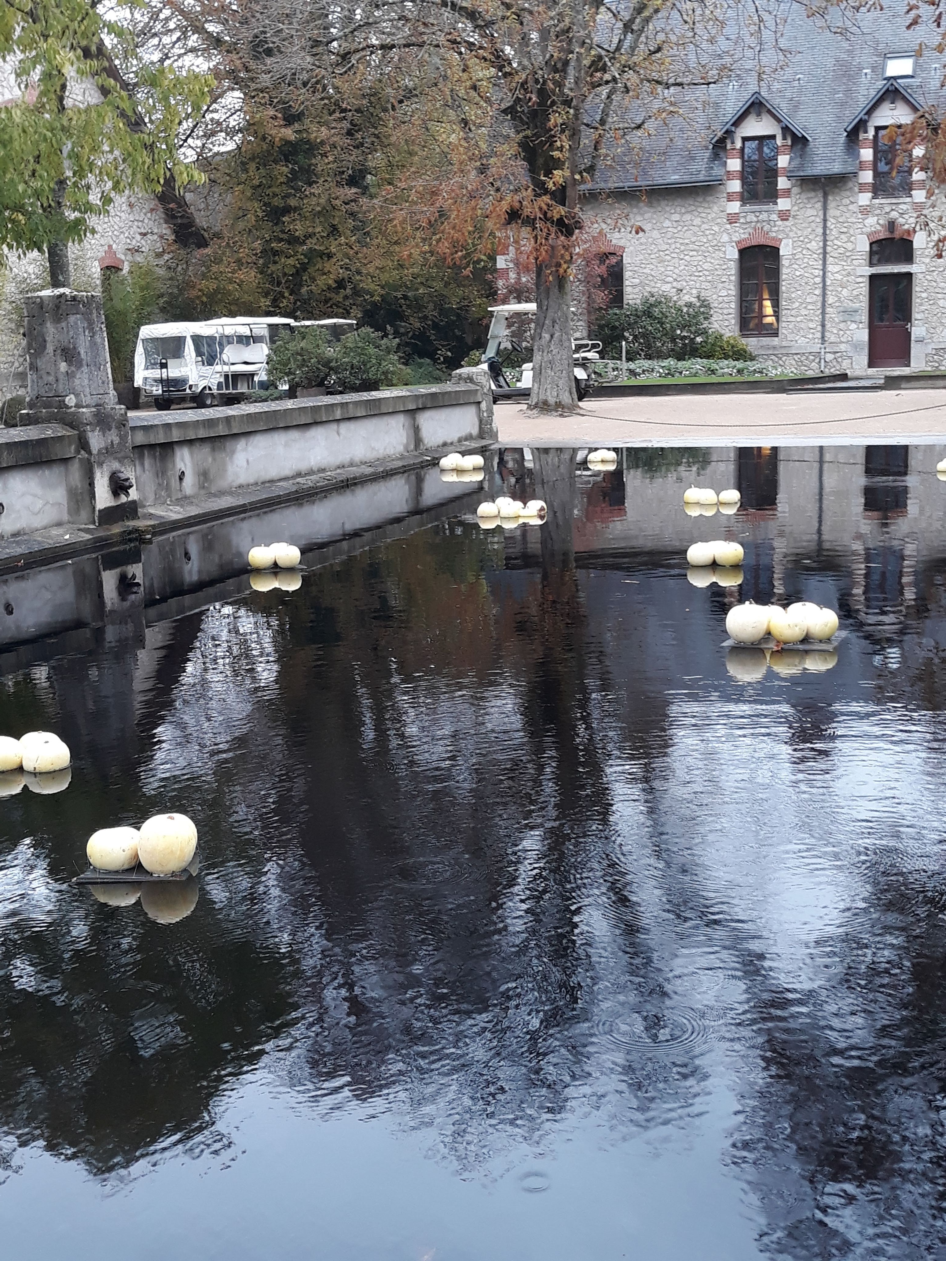 Photo n° 14 de l'avis de Corinne. fait le 05/11/2018 à 21:31