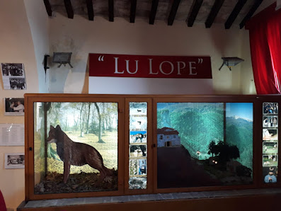 Museo del Lupo Via IV Salita Purgatorio, 10, 66010 Pretoro CH, Italia
